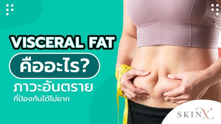 Visceral Fat คืออะไร ลดและป้องกันอย่างไรให้ปลอดภัย