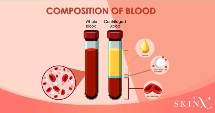 PRP ผม คืออะไร ? รักษาอาการผมร่วงผมบางได้จริงหรือ