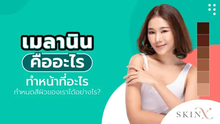 เมลานิน คืออะไร ทำหน้าที่อะไร กำหนดสีผิวของเราได้อย่างไร?